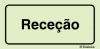 Sinal para instalações desportivas, Receção